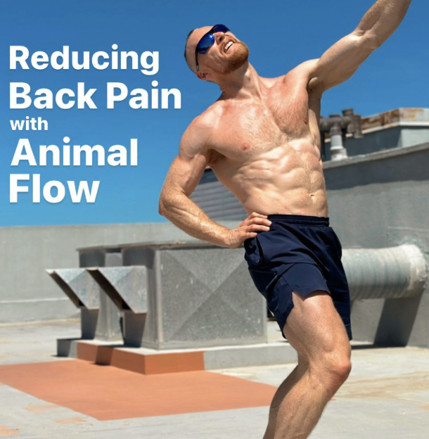 Reducing Back Pain with Animal Flow